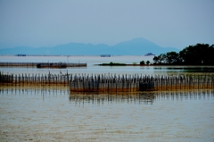 魞風景