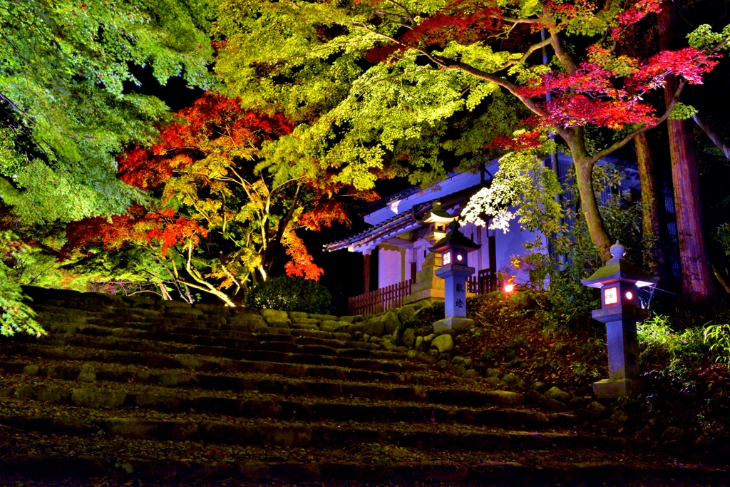 胡宮神社秋誘う