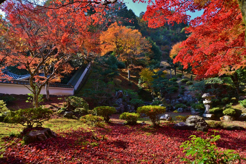 清瀧寺徳源院　池泉回遊式庭園　3-1