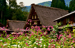 里山の秋