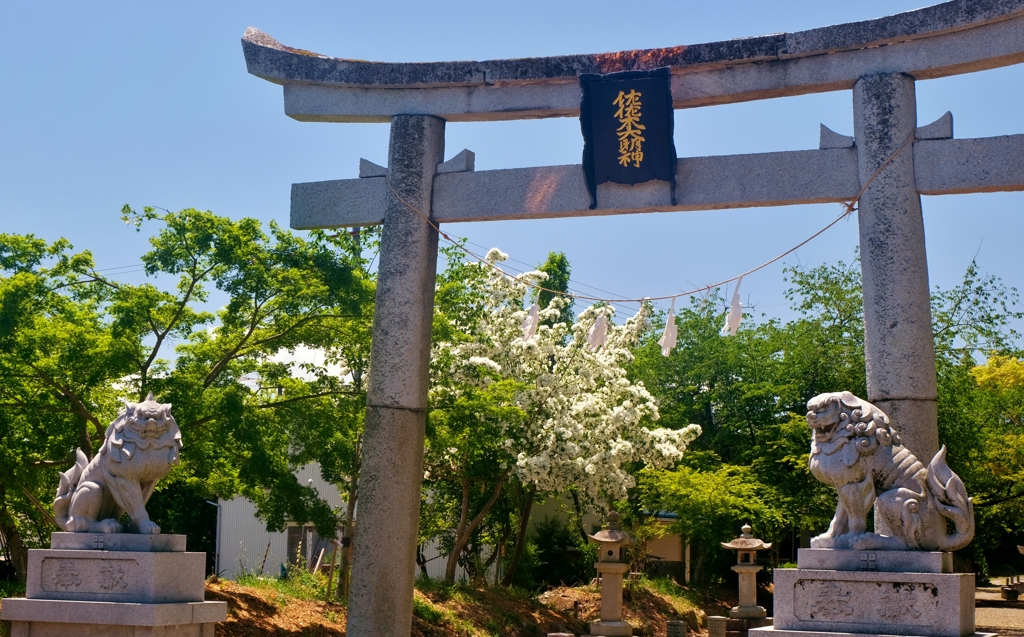 佐々木大明神鳥居