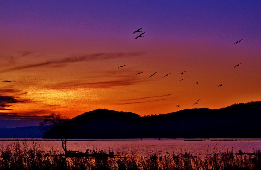 悠々夕景