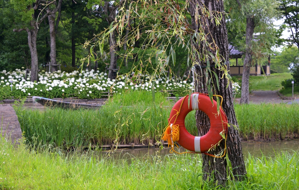 もりやま芦刈園