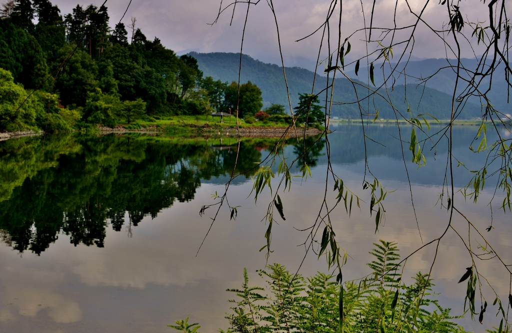 余呉湖晩夏