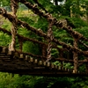 かずら橋　Ⅲ