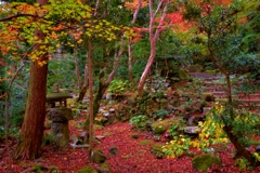 近江商人の紅葉公園　4-2