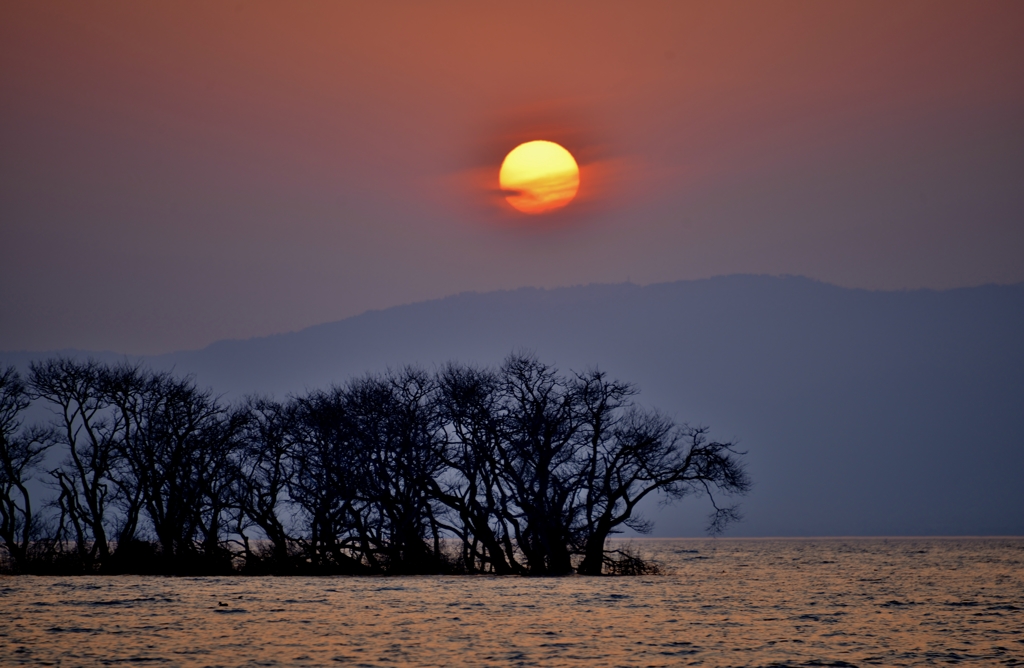 夕掛く