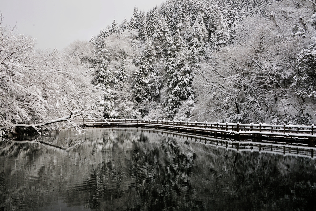 もみじ池雪景色