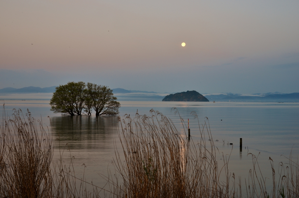 湖北の月