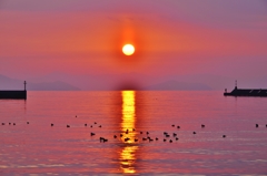 冬夕日