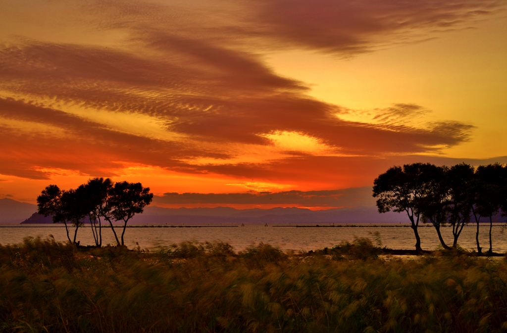 秋夕景