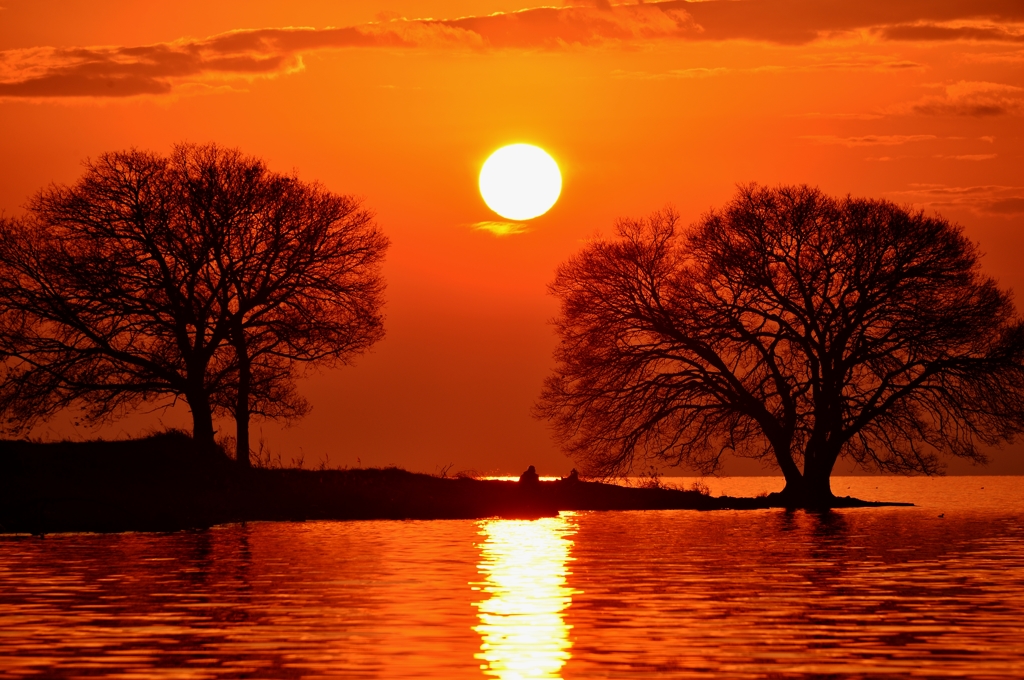 夕木　3-1