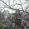 彦根城雪景色