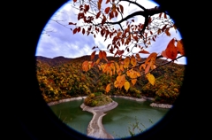 覗く白龍湖の秋