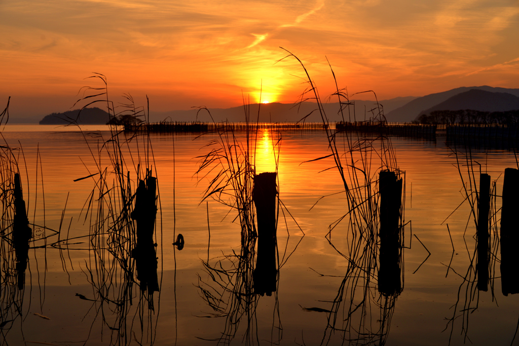 湖北夕凪