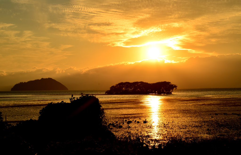 湖北秋夕日