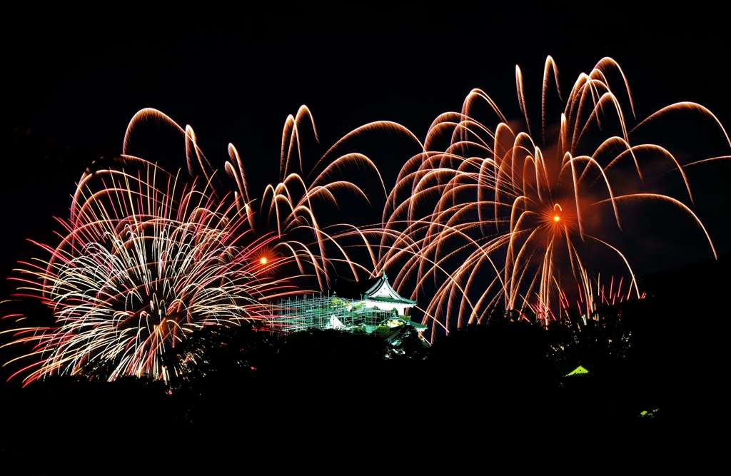 夜空の乱れ花