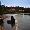 春の玄宮園
