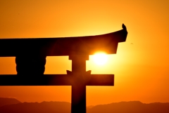 Sunrise of torii at lake　Ⅲ