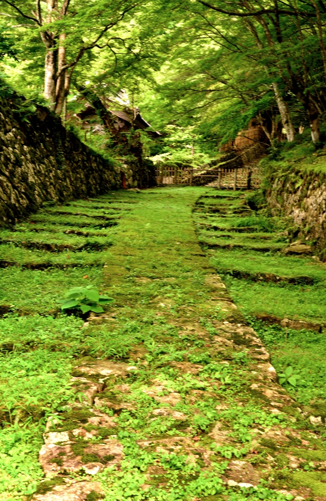 緑参道・百済寺