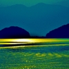 湖面の輝き