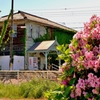 愛され100年　新八日市駅舎　10