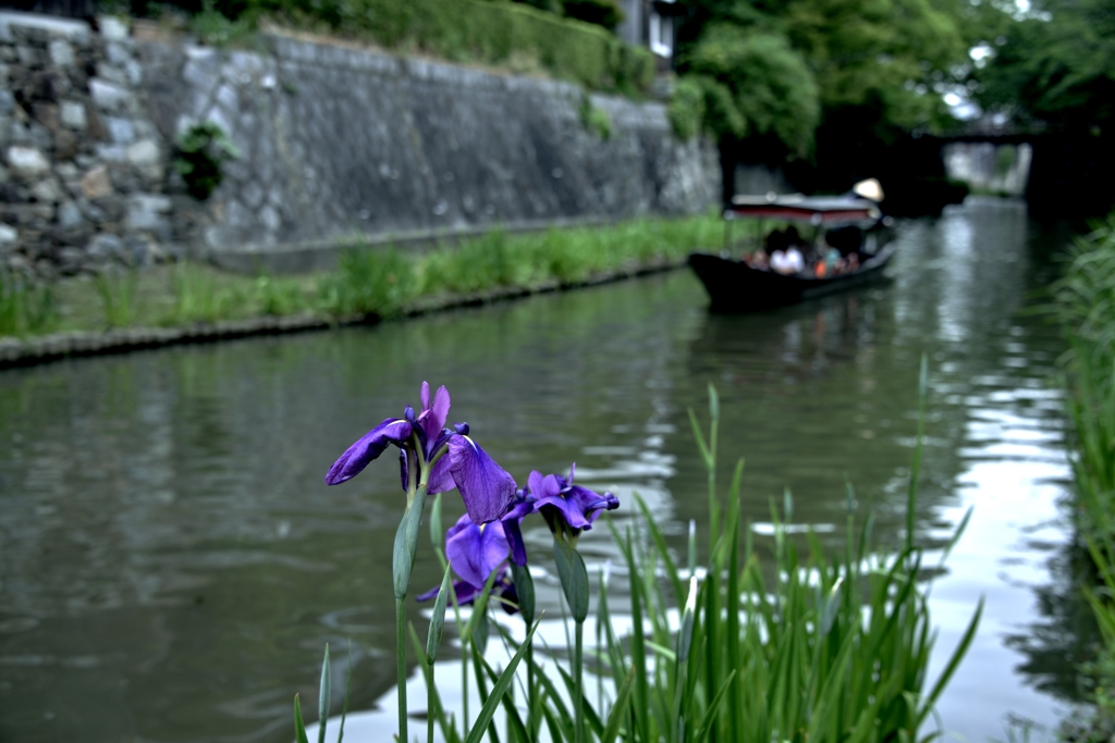 時の流れに