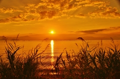 琵琶湖に日は昇る