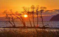 如月・水中木の夕日