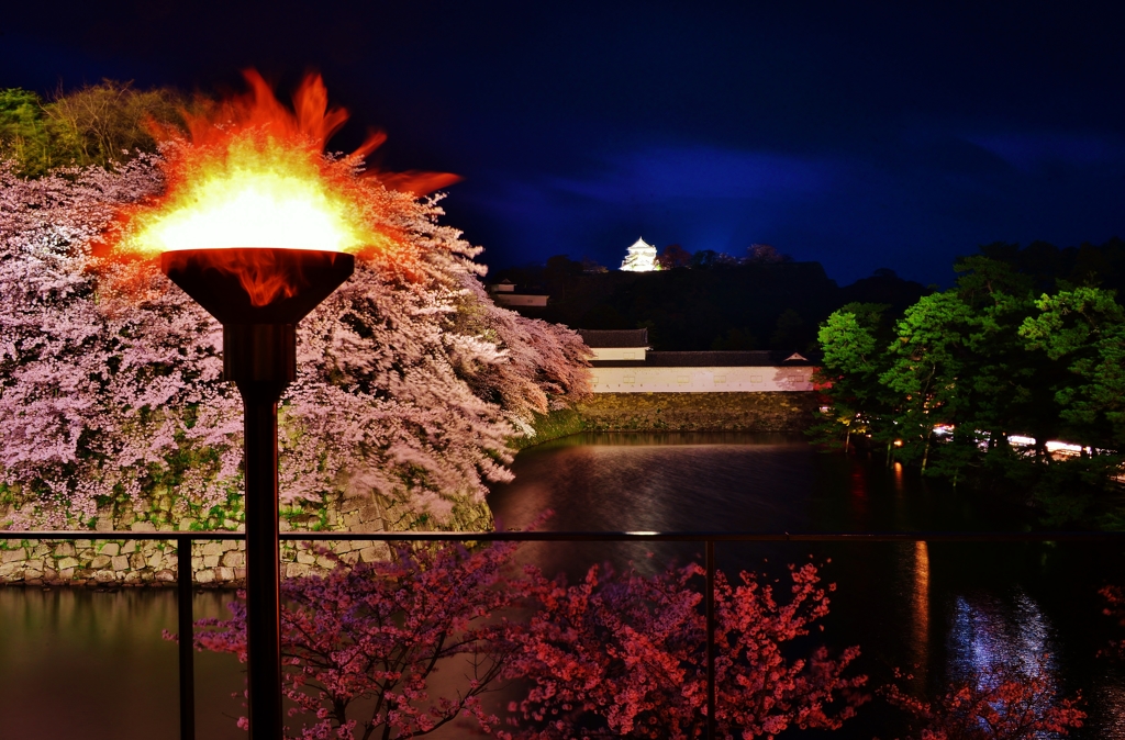 彦根城花灯り