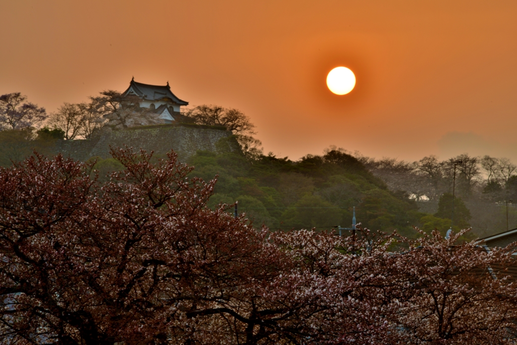 彦根城夕景