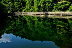 水鏡