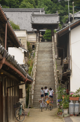 仲良しこよし