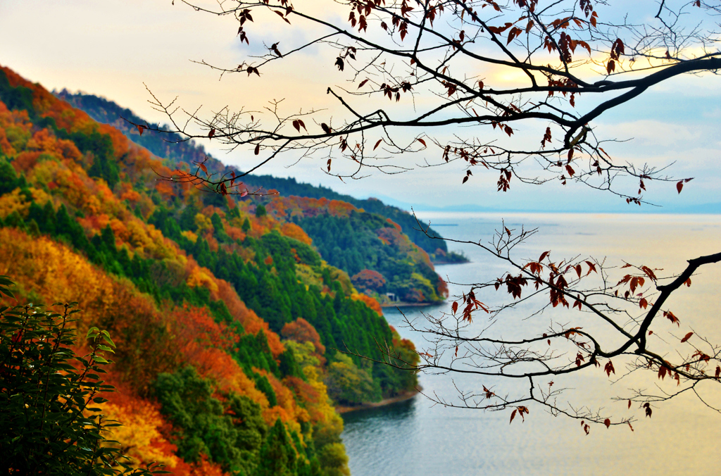 奥琵琶湖の秋彩