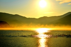 湖面の朝靄