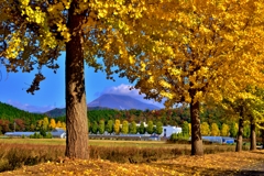 秋風景