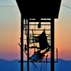 夕陰