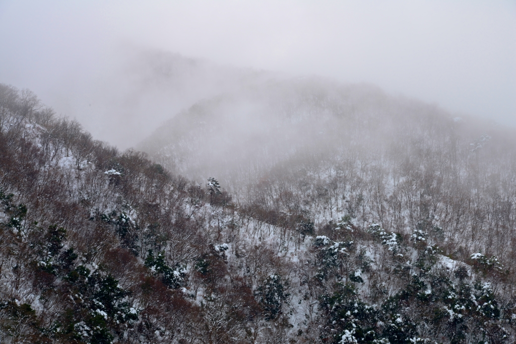 里山雪景