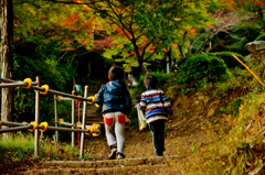 小さな冒険者