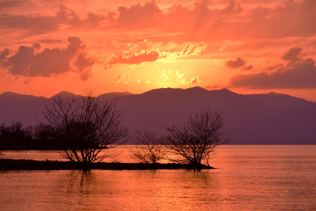 夕茜