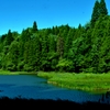深緑の平池