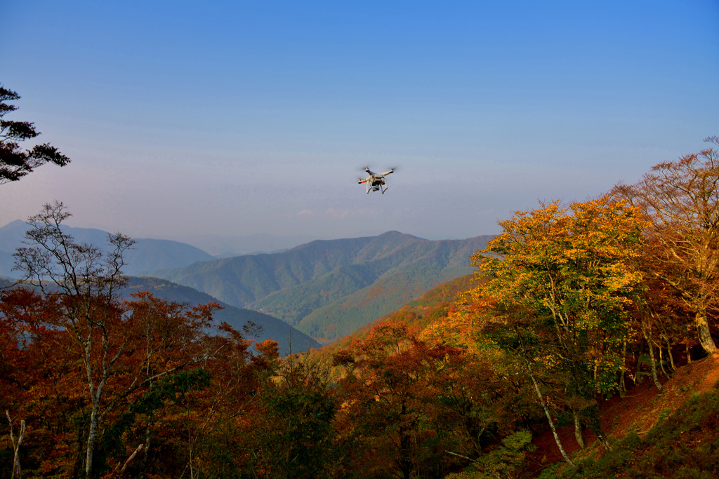 山間のドローン