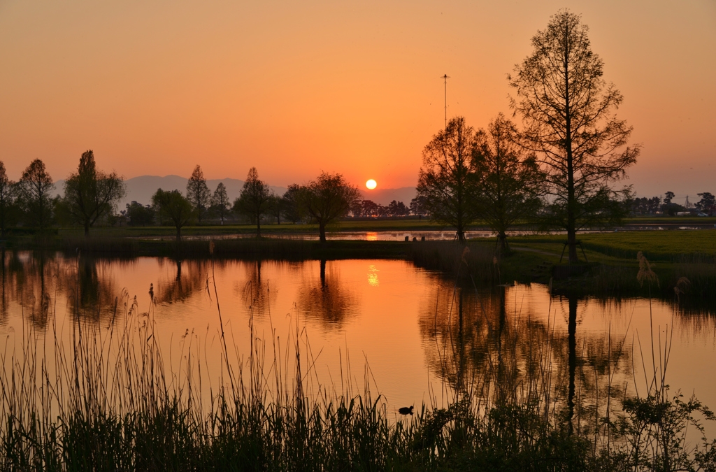 夕景映し