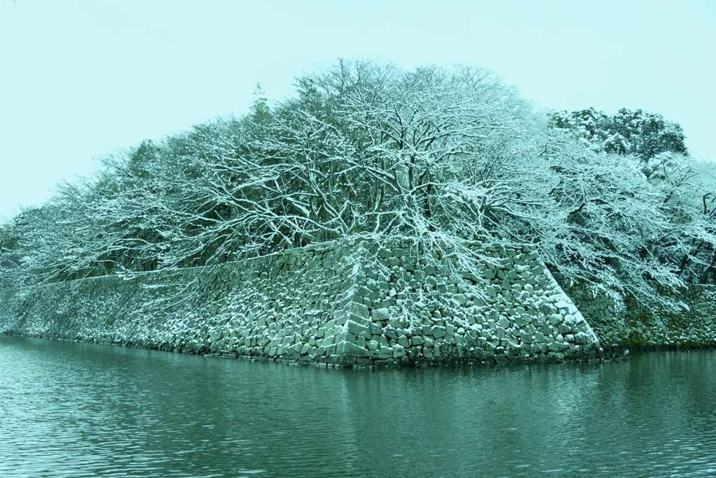 彦根城雪花