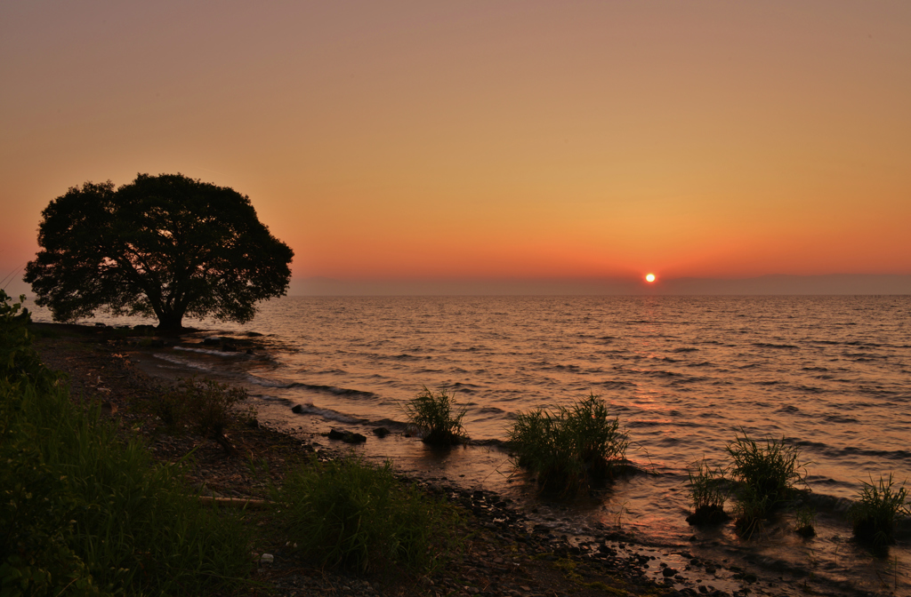 夕暮れ点陽