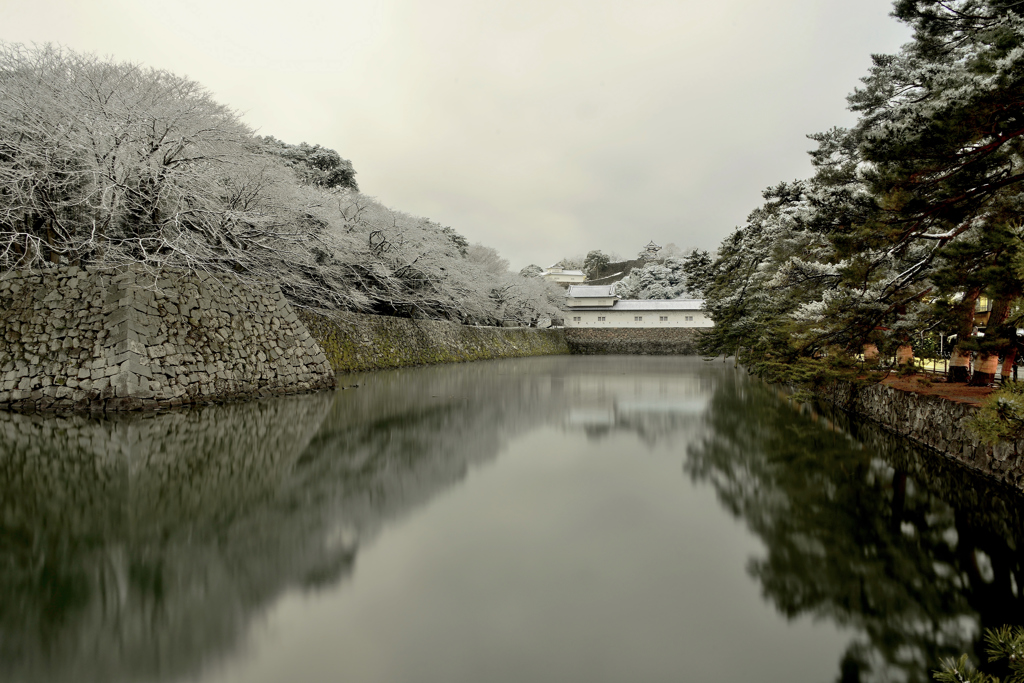 濠端の淡雪花