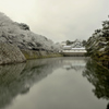 濠端の淡雪花