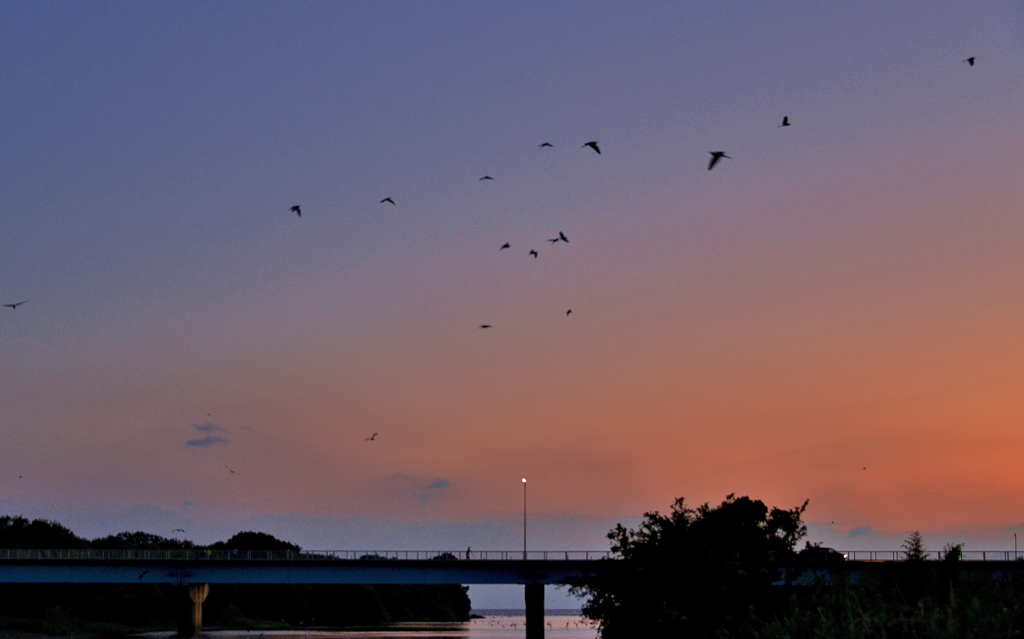 Te nightfall