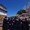 青春桜花