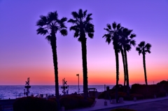 カリフォルニアの夕景